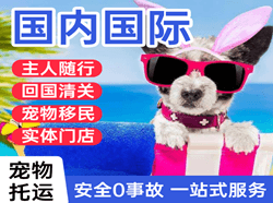 奔牛机场邮寄国际宠物托运 【国